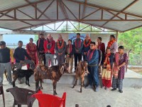 ज्यामिरेका किसान समूहलाई उन्नत जातको बिउ बोका वितरण